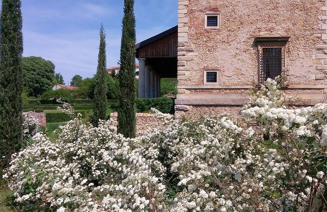 B&B Villa Trissino Rossi-1